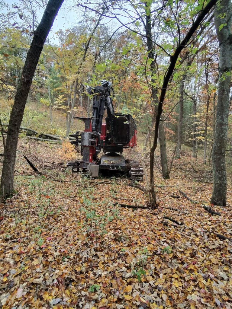 Leer Wood Products timber harvester in the woods